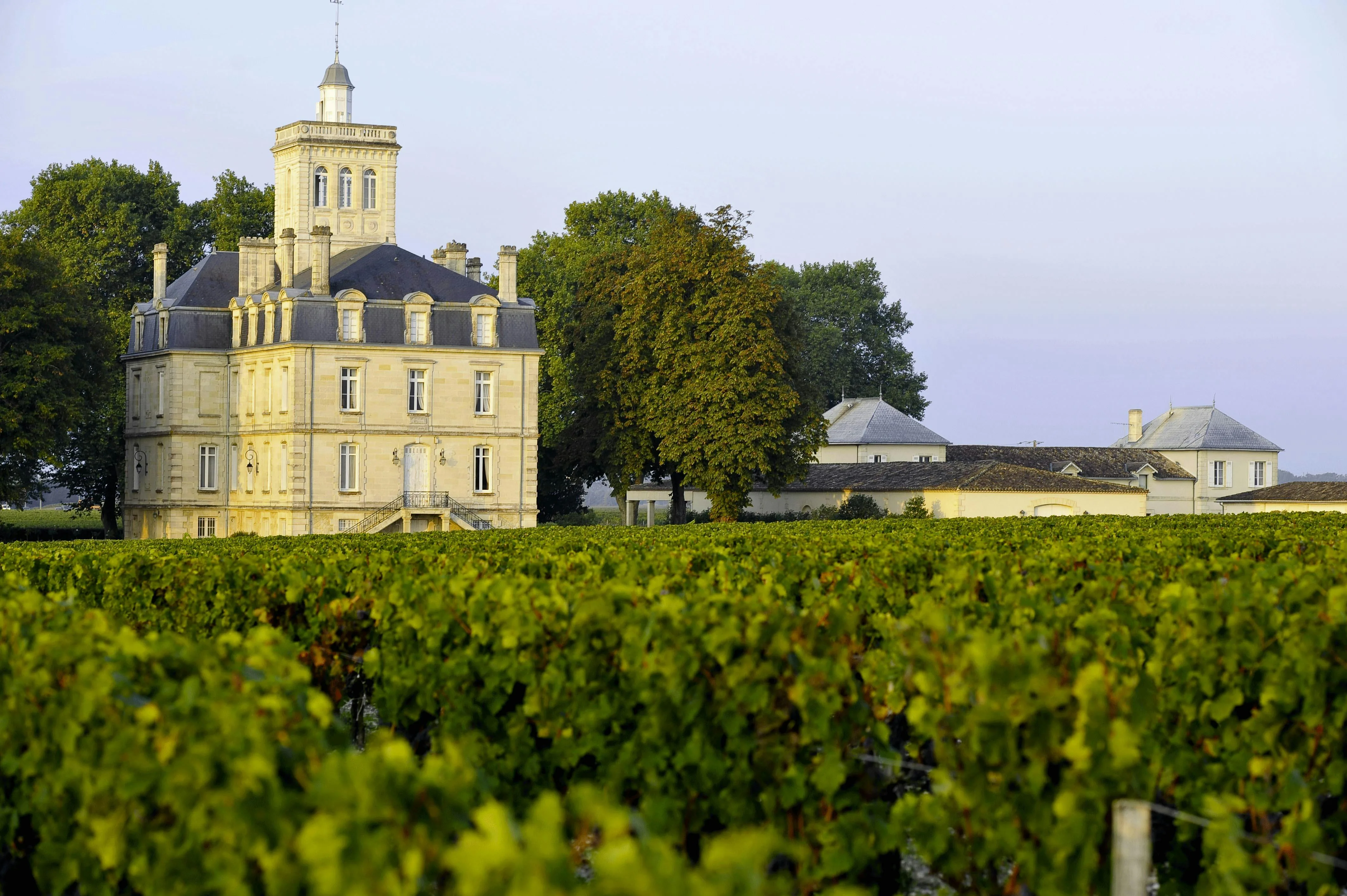 Château viticole dans les vignobles bordelais